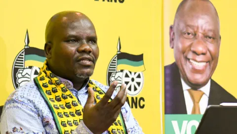 Party should never have put Zuma’s interests above its own, says ANC elections head
