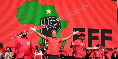 EFF manifesto’s main points — nationalise stuff, scrap provinces and legalise dope