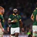 Springboks’ busy 2024 schedule completed with confirmation of Wales clash at Twickenham