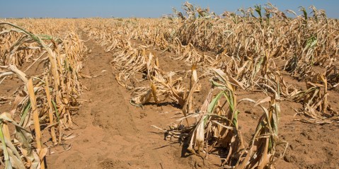 South Africa’s neighbours bear the brunt of dry weather pattern