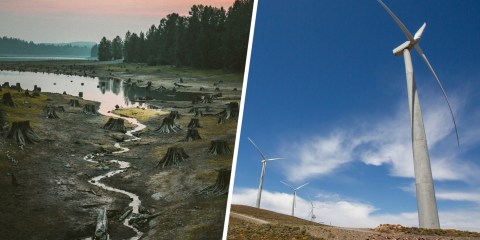 Balancing biodiversity conservation with the transition to renewable energy