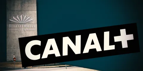 After the Bell: Can MultiChoice add to Canal+?