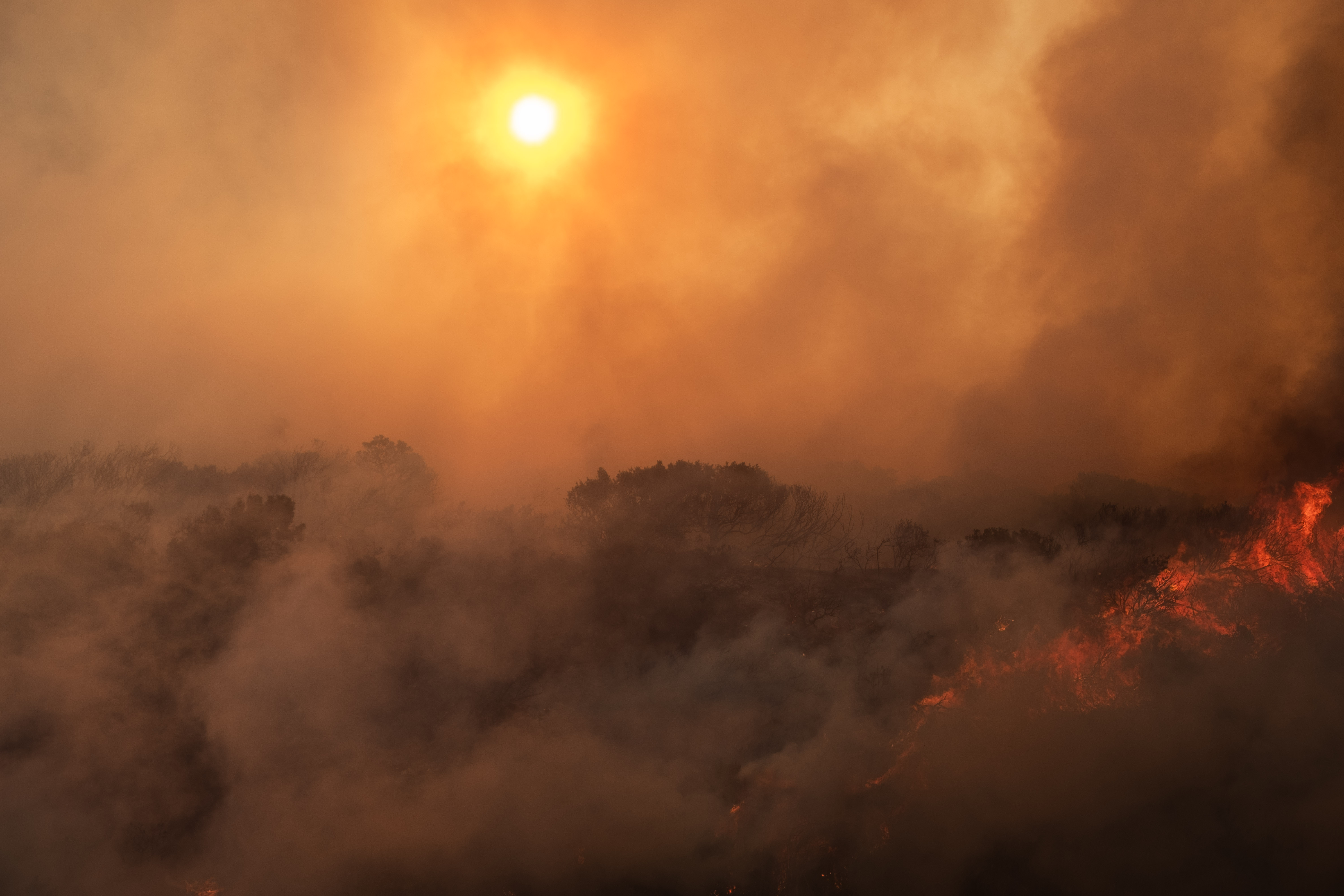 Murdock Valley wildfire
