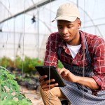 Agriculture funding in Africa is ripe for innovation