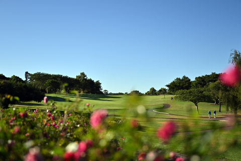 Friendless in Fancourt — Billionaire Hasso Plattner ordered to reinstate three terminated golf course memberships