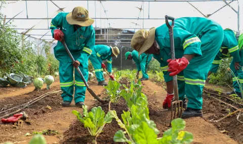 Gauteng’s Green Army — cleaning and greening as they fight environmental degradation