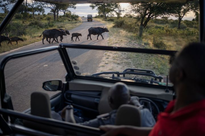 South Africa’s Kruger Park Opposes New Border Link to Mozambique