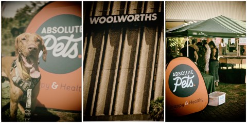 Woolworths given free rein to collar Absolute Pets