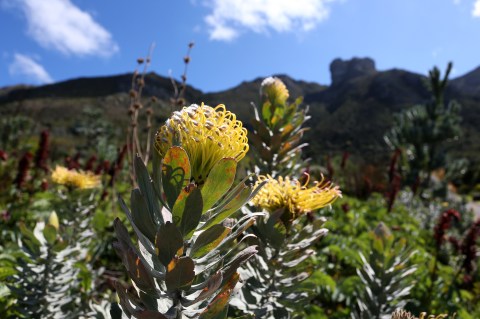 SA’s new biodiversity strategy is a key move away from colonial fortress conservation