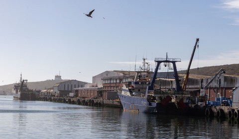 Tales from Saldanha  — can the town find its green future? (Part 1)