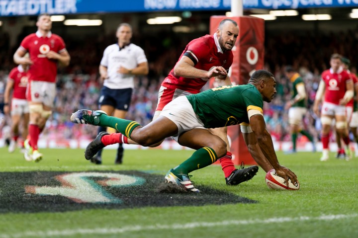 Tricky Wales Test will bolster Springboks’ steady rebuild but captaincy question remains