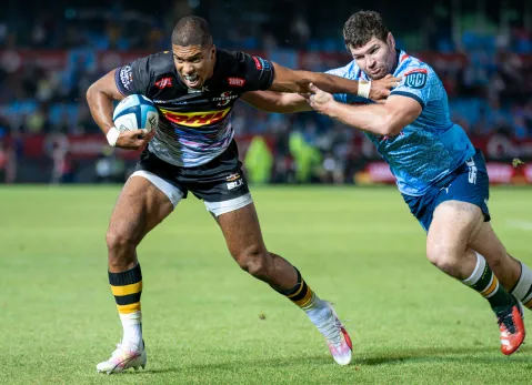 Stormers run for the URC play-offs kicks off this weekend with home-ground advantage