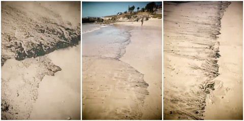 Nelson Mandela Bay metro closes Blue Flag beaches after mistaking ash for oil
