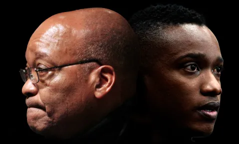 Which Zuma is the right Zuma for me?