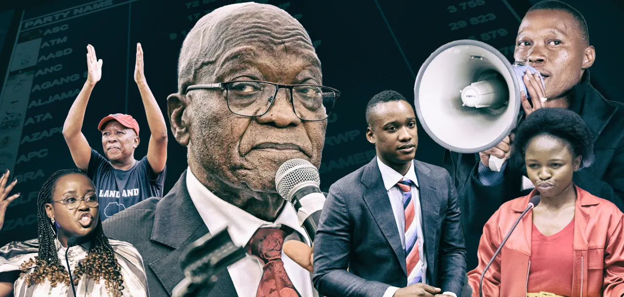 South Africa's 2024 elections party lists — the bad, the weird and the ugly