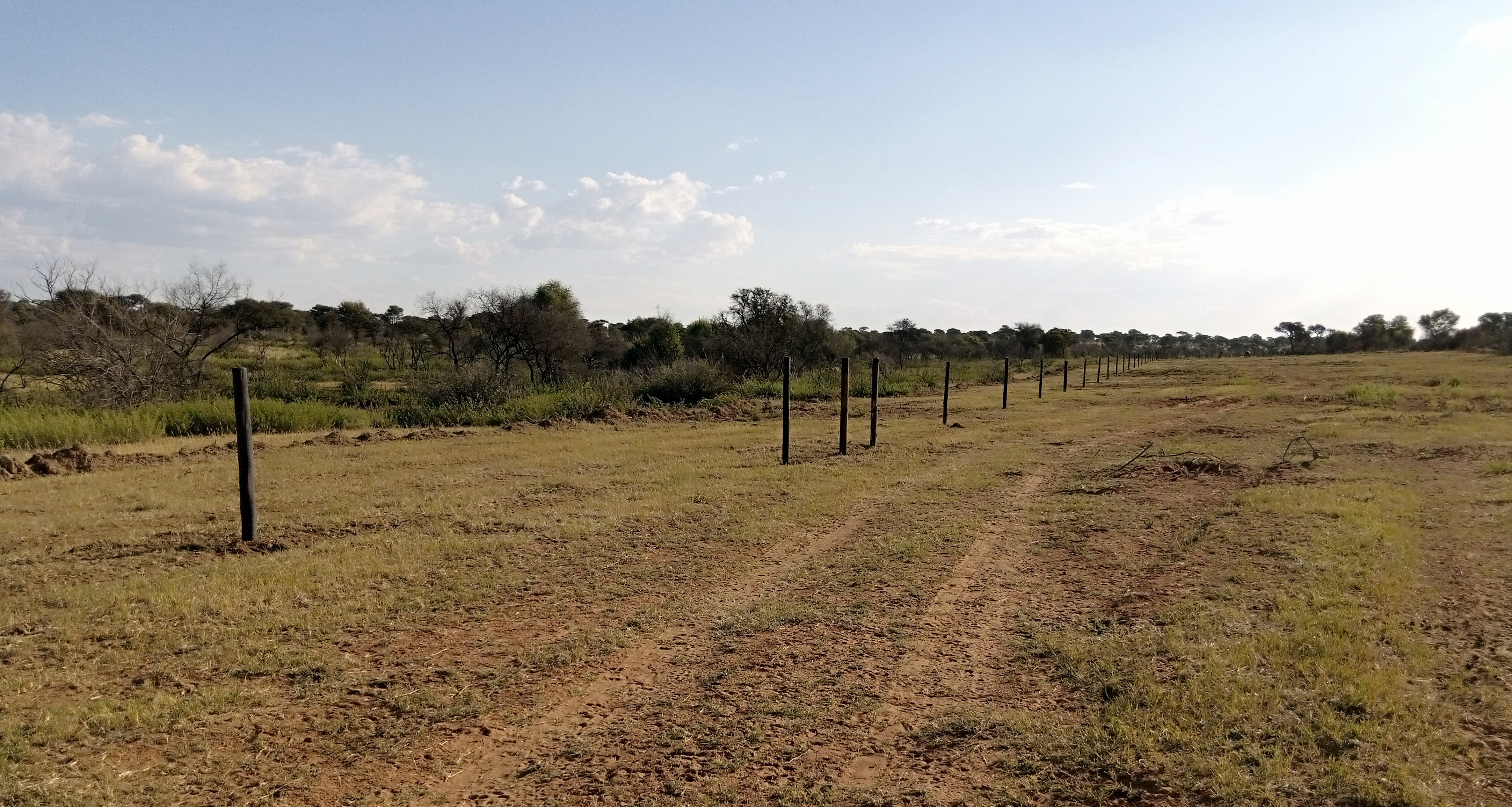 botswana animal disease barrier