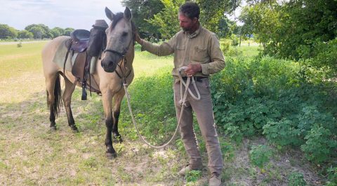 Farmer on horseback riding from Zimbabwe to Windhoek for reinstatement of the SADC Tribunal