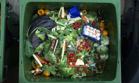 Household waste is “ignorance,"people don't realise that they waste food and also not the magnitude thereof.
(Photo: Food Tank / Wikipedia)