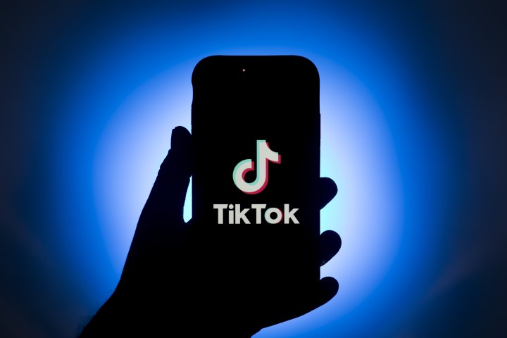 TikTok to Remove Executive Tasked With Fending Off US Claims