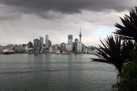 New Zealand business confidence drops to seven-month low