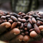 Loaded for Bear: Climate change has triggered a coffee and cocoa conundrum
