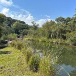 A weekend of trout fishing in leopard country is a reminder that SA still has clean waters