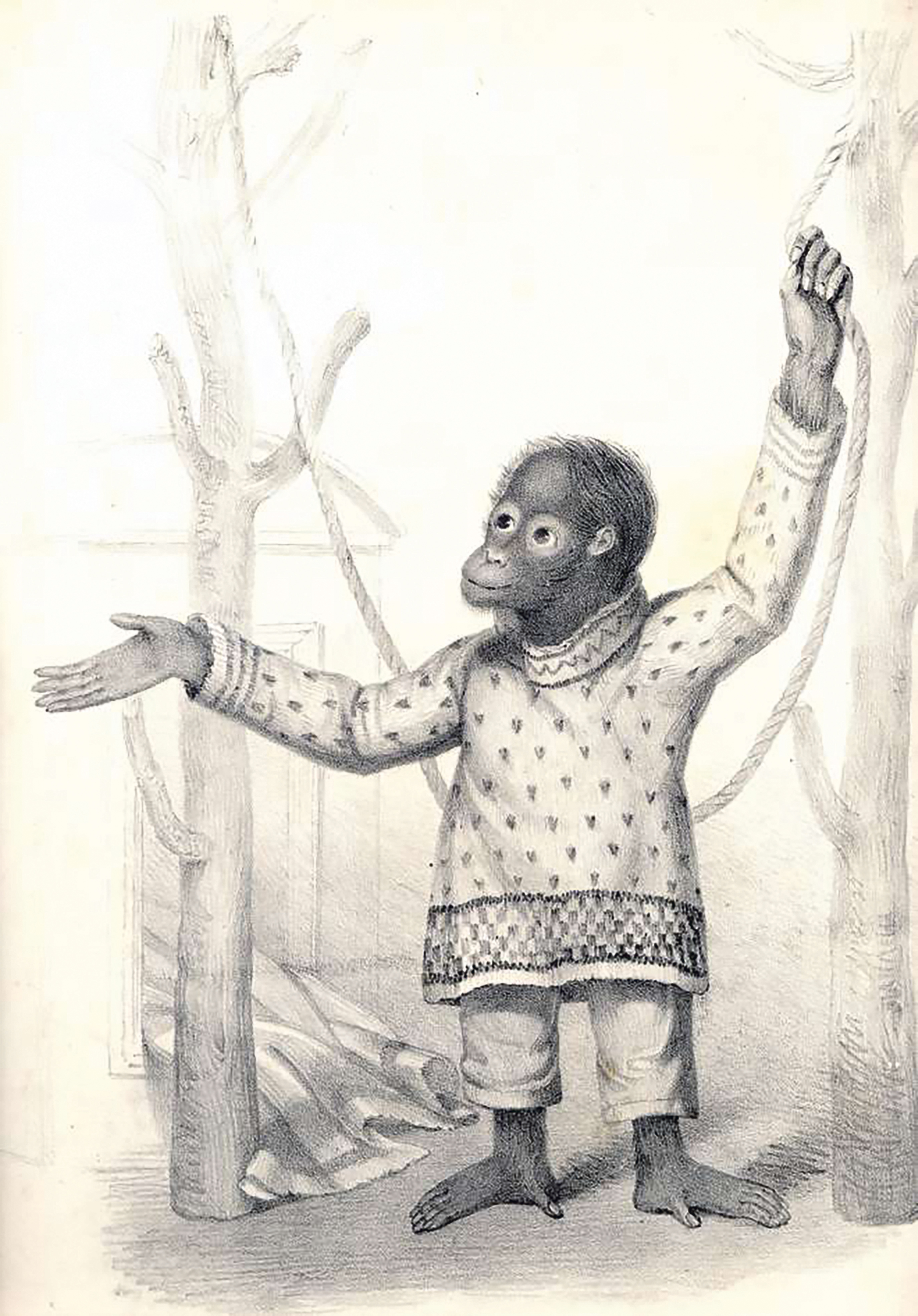 Jenny,_the_first_orangutan_at_London_Zoo