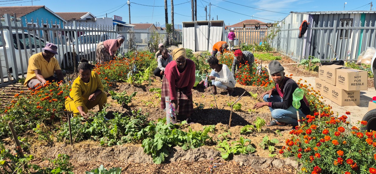 FOOD JUSTICE: How community gardens are reducing foodstuff waste and increasing food security in SA