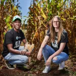 A youthful approach to Gauteng farming futures and food security plants seeds of hope