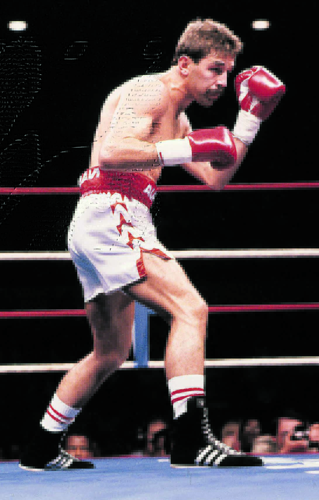 SA boxing Brian Mitchell