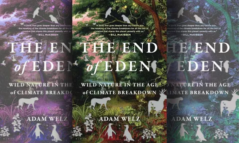 ‘End of Eden: Wild Nature in the Age of Climate Breakdown’ — Fiddling while earth burns  