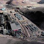 Mystery of missing chinchillas at Gold Fields’ new Chilean mine