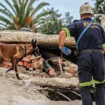 George residents champion the ‘superdogs’ searching for survivors of building collapse