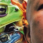 Mr Congeniality: Julius Malema calms down and puckers up to kiss frogs in his ultimate quest for presidency