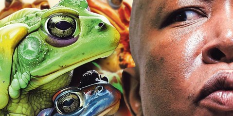 Mr Congeniality: Julius Malema calms down and puckers up to kiss frogs in his ultimate quest for presidency