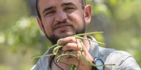 Eastern Cape conservationist discovers eight new snake, gecko and frog species in the Okavango