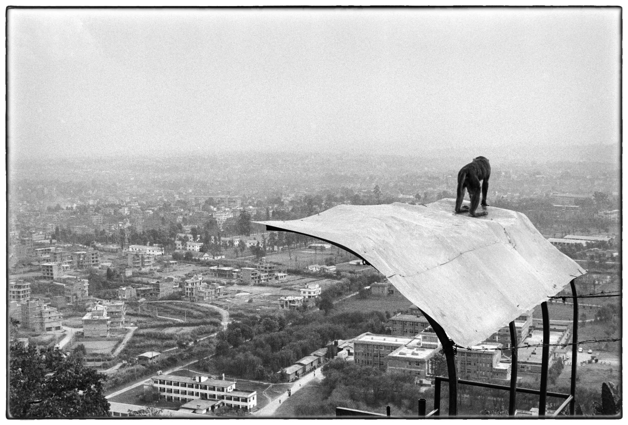  A general view of Kathmandu from Swayambhu temple.