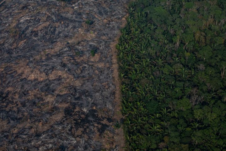 Deforestation in Brazil’s Amazon drops 22.3% in year through July