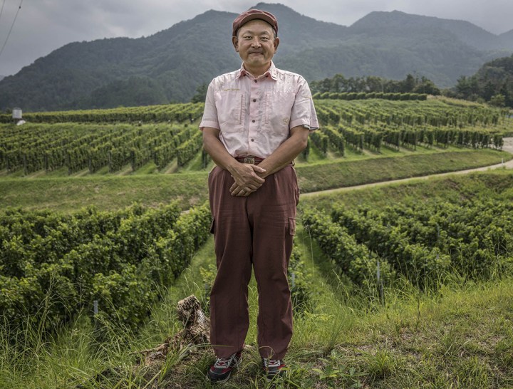 The rise of Japanese wine made from koshu grapes