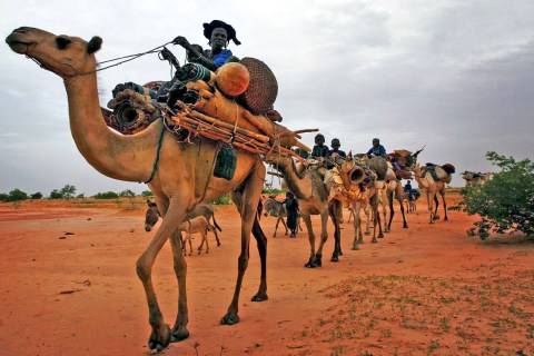 The Tuareg people and the mystery of the Niger convoy
