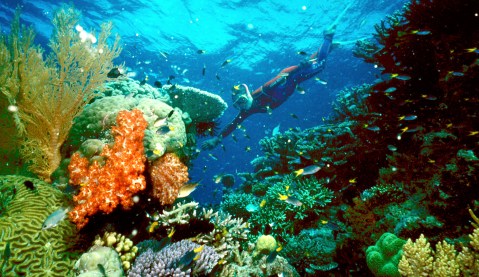 Australia creates world’s biggest marine park, bans drilling