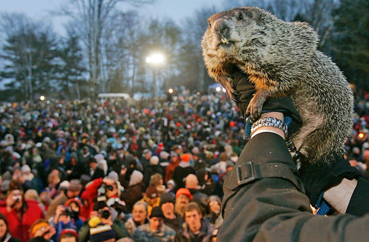 03 February: As spring sounds a tweet, groundhog takes to texting his predictions
