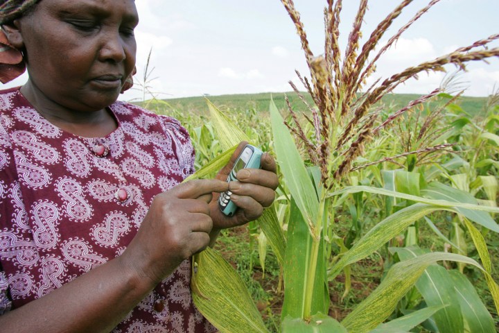 Covid-19 and the climate present varying risks for Southern and East Africa agriculture