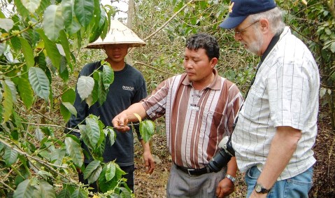 Coffee colonialism in Laos