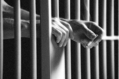 Half of US adults have family member who has been incarcerated: report