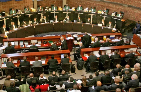 Analysis: The Constitutional Court is the next cow to the abattoir