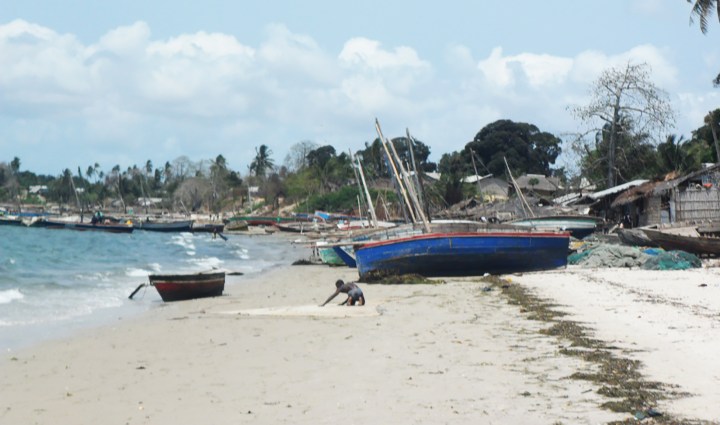 Mozambique jihadists ‘capture strategic port in major victory’