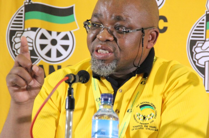ANC NGC: Mantashe klaps Malema too in sometimes honest organisational report