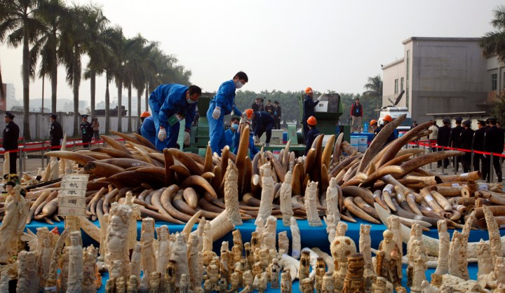 Hong Kong to destroy one of the world’s largest stockpiles of ivory