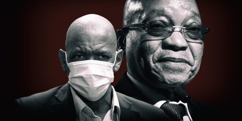 How sacking of Eastern Cape Health MEC introduces new twist to the NEC-Zuma-Magashule triangle